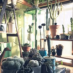 部屋全体 ナウシカのインテリア実例 Roomclip ルームクリップ 部屋全体 ナウシカのインテリア実例 Roomclip ルームクリップ