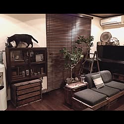 安っぽいけどね のインテリア実例 Roomclip ルームクリップ