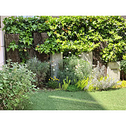 花壇 コンクリートブロックのインテリア実例 Roomclip ルームクリップ