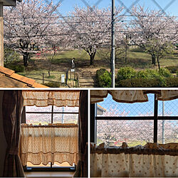 country/桜/さくら/花見/家からの風景...などのインテリア実例 - 2020-04-03 10:42:12