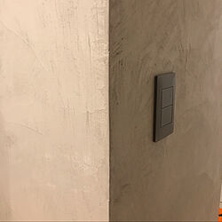 アドバンスシリーズ マットグレー/パナソニックスイッチ/モールテックス/モールテックス壁/壁/天井のインテリア実例 - 2020-05-07 17:55:28