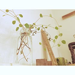 ワイヤープランツ水挿しのインテリア実例 Roomclip ルームクリップ ワイヤープランツ水挿しのインテリア実例 Roomclip ルームクリップ