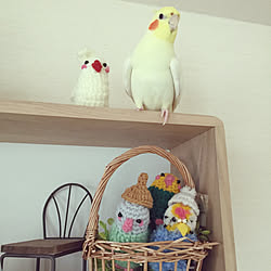 棚/インコ/インコと暮らす家/鳥/フェイクグリーン...などのインテリア実例 - 2018-11-22 20:13:24