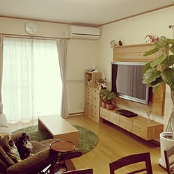 ミニチュア動物のインテリア実例 Roomclip ルームクリップ