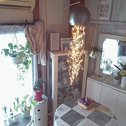 部屋全体/一人暮らし/昭和の家/築32年/植物のある暮らし...などのインテリア実例 - 2020-01-25 17:07:35