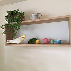 バードアスレチックのインテリア実例 Roomclip ルームクリップ