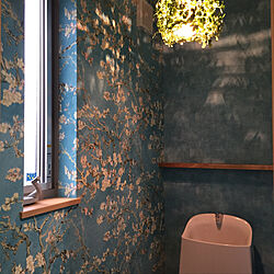 トイレ オーランドのライト ヴァンゴッホ壁紙 フェイクグリーン バス トイレのインテリア実例 19 06 15 13 54 18 Roomclip ルームクリップ