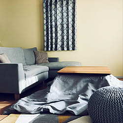 サリー 自慢 虐待 ラウル カウチ ソファ Sh106 Jp