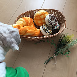 今日も素敵な1日を❤️/クオリティ高いぞ!/ちびっ子ギャング誕生日♡/全種類欲しいザンス(≧◡≦)/また来ないかな?妹...などのインテリア実例 - 2017-11-13 13:19:11