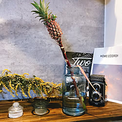 リビング ミモザ パイナップルリリー 花屋さんをイメージ グリーンのある暮らし などのインテリア実例 18 07 19 21 26 07 Roomclip ルームクリップ