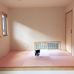 部屋全体 ピンク 和室のインテリア実例 14 10 06 21 35 17 Roomclip ルームクリップ 部屋全体 ピンク 和室のインテリア実例 14 10 06 21 35 17 Roomclip ルームクリップ
