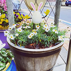 ミストシャワー 節水シャワーヘッド ディズニーホテルふう バス トイレのインテリア実例 19 12 05 08 12 15 Roomclip ルームクリップ