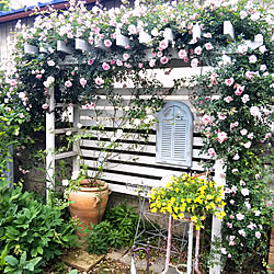 つるアイスバーグのインテリア実例 Roomclip ルームクリップ