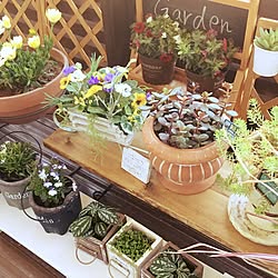 玄関 入り口 花台のインテリア実例 Roomclip ルームクリップ 玄関 入り口 花台のインテリア実例 Roomclip ルームクリップ