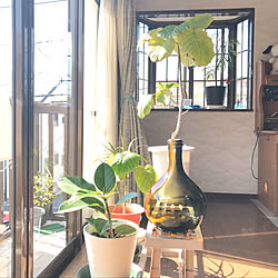ハクション大魔王の壺/ZARA HOME/3月14日ホワイトデー♡/昭和レトロのお家/グラスジェムコーン部...などのインテリア実例 - 2019-03-14 10:47:04