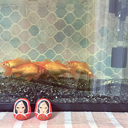 机/だるま/水槽/金魚/てぬぐい...などのインテリア実例 - 2018-06-30 18:09:10