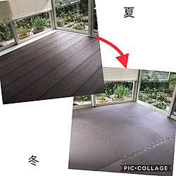 冬囲いのインテリア実例 Roomclip ルームクリップ 冬囲いのインテリア実例 Roomclip ルームクリップ