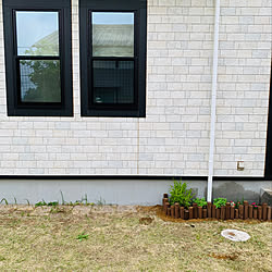 土にまくだけ害虫退治オールスター/アースガーデン/害虫対策/植物のある暮らし/ガーデニング...などのインテリア実例 - 2020-05-15 23:01:14