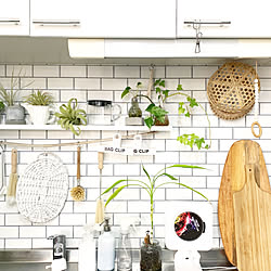 DIY/中古住宅/ボタニカルライフ/植物のある暮らし/インスタ→kiki_nekko...などのインテリア実例 - 2019-07-05 22:37:50