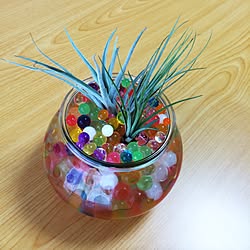 ぷよぷよボールのインテリア実例 Roomclip ルームクリップ ぷよぷよボールのインテリア実例 Roomclip ルームクリップ