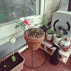 木酢液のインテリア実例 Roomclip ルームクリップ