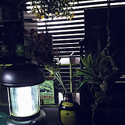 棚/古民家/いいね、フォロー本当に感謝です♡/北部屋にて/自分らしく自由に…...などのインテリア実例 - 2020-01-03 07:53:17