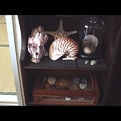 ヴンダーカンマーのインテリア実例 Roomclip ルームクリップ