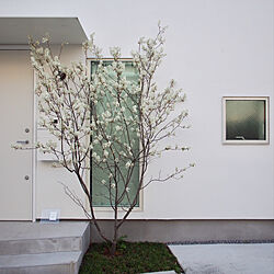 シンボルツリー ジューンベリーのインテリア実例 Roomclip ルームクリップ