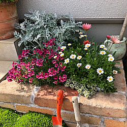 DIY/お花/レンガ/植物/花壇...などのインテリア実例 - 2021-05-04 14:31:35
