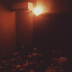 ラブホみたいのインテリア実例 Roomclip ルームクリップ