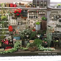 雨よけdiyのインテリア 手作りの実例 Roomclip ルームクリップ