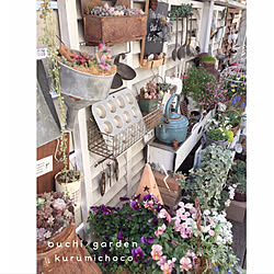 ジョイフル本田のプランターのインテリア実例 Roomclip ルームクリップ