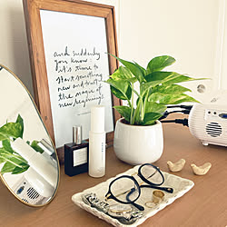 テーブルヤシ ポトス カインズホーム ハイドロカルチャー 寄せ植え などのインテリア実例 04 25 10 41 29 Roomclip ルームクリップ