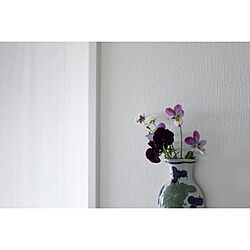 ホワイトインテリア/アンティーク雑貨/お花を飾ろう/アンティークのある暮らし/壁掛け花瓶...などのインテリア実例 - 2022-03-30 20:25:31