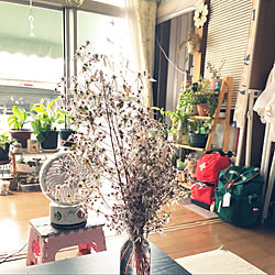 サーキュレーター買いました!/YAMAZENさん/避難用リュック/観葉植物植え替えました❣️/ユキノシタ...などのインテリア実例 - 2020-05-25 12:53:12