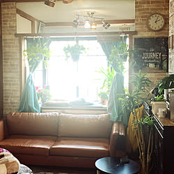 観葉植物/初夏の陽気/No Green No Life/ビンテージ/レンガ壁...などのインテリア実例 - 2020-04-29 14:08:29