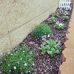 ディズニーの庭のインテリア実例 Roomclip ルームクリップ