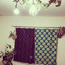 ランプシェードdiy 手作りランプシェード 観葉植物 100均 Diy などのインテリア実例 09 06 13 02 32 Roomclip ルームクリップ