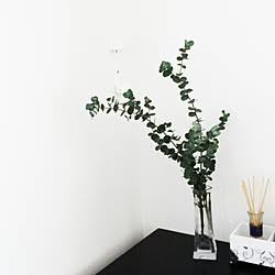 ユーカリの水挿しのインテリア実例 Roomclip ルームクリップ