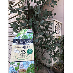 木製 コーナンのインテリア実例 Roomclip ルームクリップ