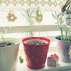 棚/人生はアート/一人暮らし/小さな暮らし/整理整頓はクリエイティブの基本♡...などのインテリア実例 - 2018-08-24 14:49:20