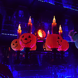 壁/天井/ハロウィン/ホラー/100均/ハロウィン...などのインテリア実例 - 2020-10-11 21:20:21