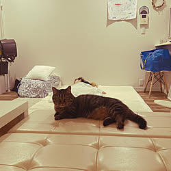 間取り図 シンプルライフのインテリア実例 Roomclip ルームクリップ