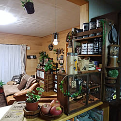 リビング/狭いながらも楽しい我が家♪/休日/観葉植物のある暮らし/快適生活目指して!...などのインテリア実例 - 2017-12-20 17:38:06