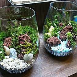 ジブリ インテリア ロボット兵 ラピュタ 苔テラリウム などのインテリア実例 21 12 27 16 32 22 Roomclip ルームクリップ