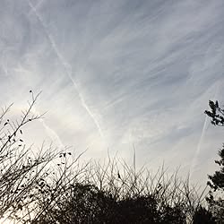 バス/トイレ/ココロの空/RYU*BOKKURI/ワンオク依存症/ケチ部...などのインテリア実例 - 2016-12-05 15:06:06