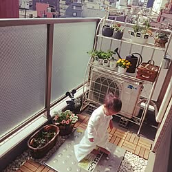 ダイソー ベランダガーデニングのインテリア実例 Roomclip ルームクリップ