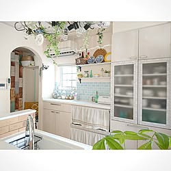 キッチン/パキラ/ラダーDIY/天井ラダー/キッチンレンガ壁...などのインテリア実例 - 2017-03-18 09:54:31