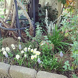 ミニロックガーデンのインテリア実例 Roomclip ルームクリップ