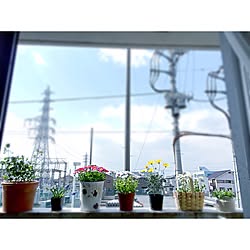 花のある暮らし ベランダ 一人暮らし ベランダガーデニング 玄関 入り口 などのインテリア実例 17 05 14 19 02 52 Roomclip ルームクリップ 花のある暮らし ベランダ 一人暮らし ベランダガーデニング 玄関 入り口 などのインテリア実例 17 05 14 19 02 52 Roomclip ルームクリップ